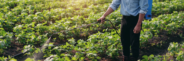 Smart farmer using spray tank to spraying fertilizer and pesticides vegetables field while working...