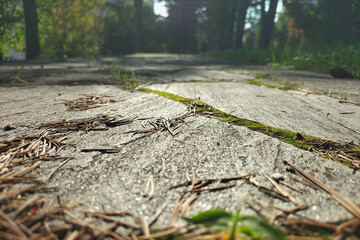 Surface of a walking path in park with large trees made of large natural stones close-up in the afternoon. Macro photography in vivo and nature lights. Reflection in every moment, every step of life