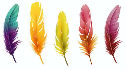 Colorful feathers collection isolated on white background