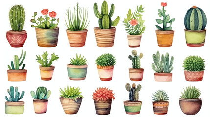 Cacti and succulents watercolor illustration