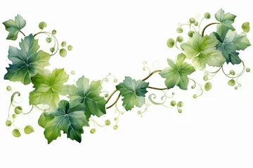 Foto op Canvas A watercolor border with transparent leaves of ivy and fresh grape foliage, isolated on white. Generative AI © Vesper