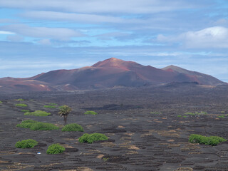 Die Kanareninsel Lanzarote in Spanien