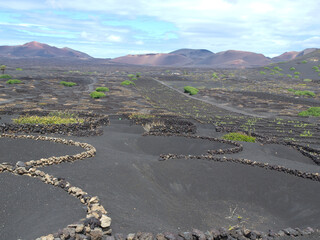 Die Kanareninsel Lanzarote in Spanien