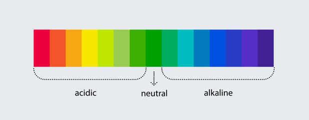 Fototapeta premium pH scale indicator chart. Acidic Alkaline measure. pH analysis chemical scale value test. Vector
