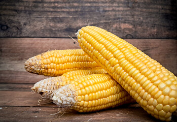  Corn FOCUSED an BLUR picture "Golden Fields: A Cornucopia of Beauty"
"Harvesting Sunshine: Golden Corn"
"Majestic Maize: A Cornfield's Glory"
"Fields of Gold: Cornstalk Splendor"
The Corn Chronicles