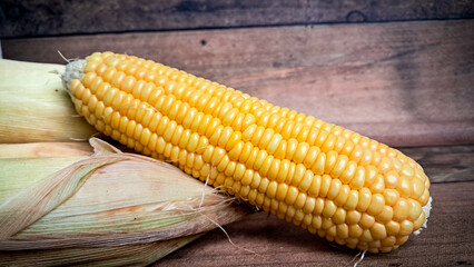  Corn FOCUSED an BLUR picture "Golden Fields: A Cornucopia of Beauty"
"Harvesting Sunshine: Golden Corn"
"Majestic Maize: A Cornfield's Glory"
"Fields of Gold: Cornstalk Splendor"
The Corn Chronicles