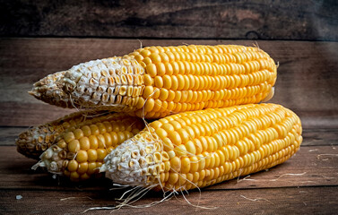  Corn FOCUSED an BLUR picture "Golden Fields: A Cornucopia of Beauty"
"Harvesting Sunshine: Golden Corn"
"Majestic Maize: A Cornfield's Glory"
"Fields of Gold: Cornstalk Splendor"
The Corn Chronicles