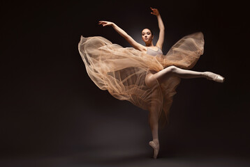 Ballerina. Young graceful woman ballet dancer, dressed in professional outfit, shoes and beige weightless skirt is demonstrating dancing skill. Beauty of classic ballet. - 647351939