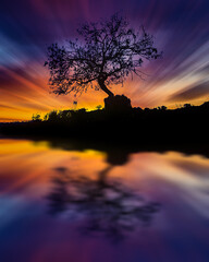 tramonto con albero e specchio d'acqua 
