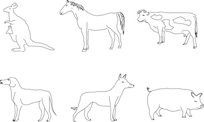 Vector sketch illustration of animal collection design