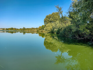 Borzenka river. Beautiful summer landscape on the banks of the river.