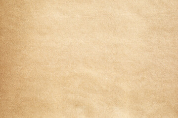Fototapeta na wymiar Brown paper with grain macro texture