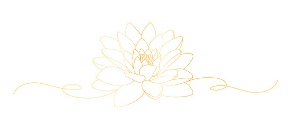 Lotus flower line art style