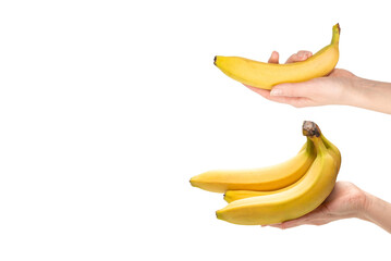 A bunch of bananas in woman hand isolated on white background.