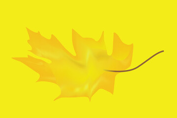 yellow color leaf and yellow color background .