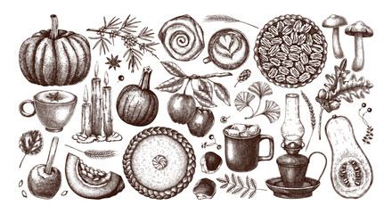 Vintage autumn hand-drawn vector illustration. Pumpkin, hot drink, fruit, pie, pastry, fall leaves sketches. Thanksgiving design elements in engraved style