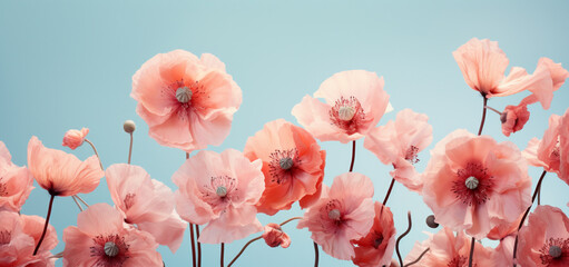 a filed of pink flowers on the blue sky, in the style of pastel dreamscapes,