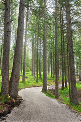 Fototapeta premium trail around Lago di Dobbiaco