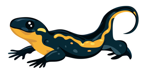 Fire Salamander flat style vector illustration, Salamandra salamandra, black and yellow spotted Salamander, fire lizard stock vector image