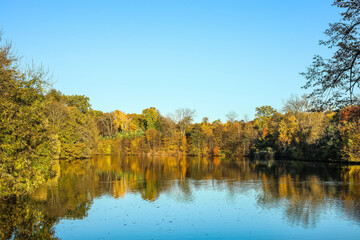 Fototapeta na wymiar View of beautiful lake and yellow trees on autumn day