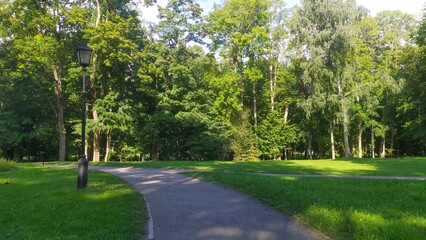 In the city park there is a pedestrian path among tall maples, lindens and birches. At the edges of the path are grassy lawns and lighted lanterns. Rays of sunlight break through the branches of trees