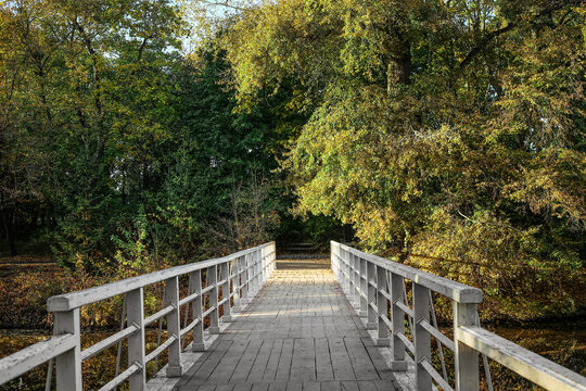 View of beautiful autumn park with trees and bridge