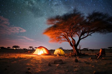 Fototapeta na wymiar Breathtaking night scene with Milky Way and galactic core over Namibia's Etosha National Park during camping. Generative AI