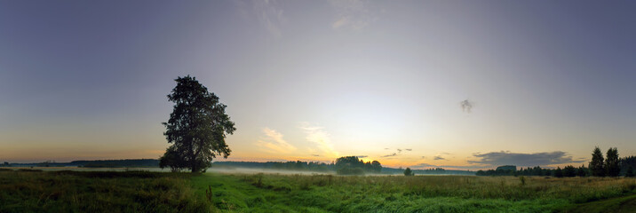 Fototapeta na wymiar Panoramic view of foggy, grassy fields on late evening. Shyning gold sky and lonely tree oon flat huge field. 