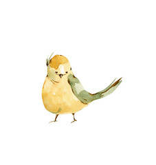 Watercolor cute bird, hand painted illustration, autumn season clipart png.