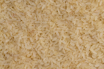 a large amount of uncooked fresh polished rice