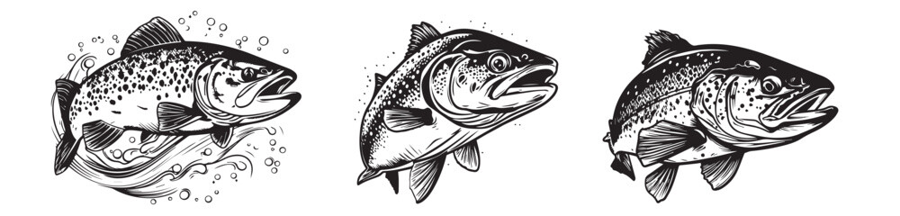 Trout fish vector illustration silhouette laser cutting black and white shape