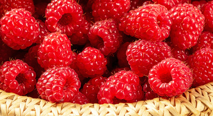 Heap of ripe raspberries in a basket close-up