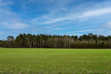 Obraz premium Naturpark Marxener Paradies in der Lüneburger Heide, Lüneburg mit blauem Himmel, Niedersachsen, Deutschland