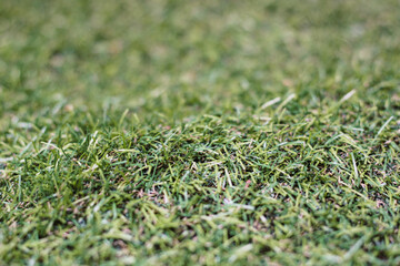 Close up of grass, Synthetic grass
