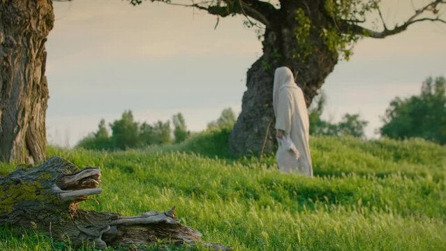 Jesus leaving slowly from a green meadow with fallen tree.