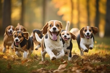 Cute funny beagle dogs group running and  playing