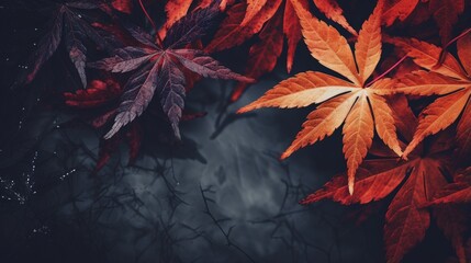 Halloween wallpaper of autumn leaves on a dark background.