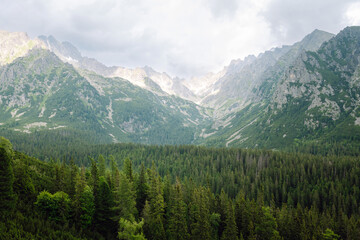 Fototapeta na wymiar Breathtaking view of the mountains on a hiking trail, among the forest, and an alpine lake. Location of the High Tatras Mountains, Europe. Nature concept, views.