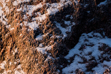 Snow on a rock