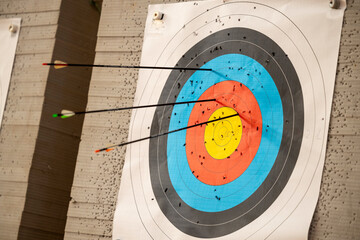 View of an archery target with several arrows stuck into it - obrazy, fototapety, plakaty
