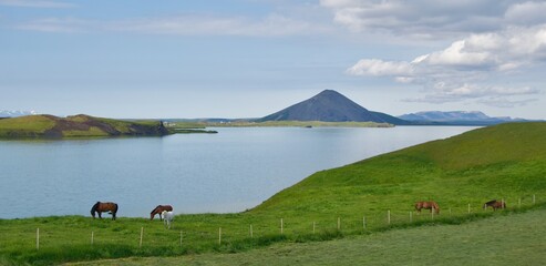Landscape of volcano and lake at Skutustadagigar Pseudocrater Field in Iceland