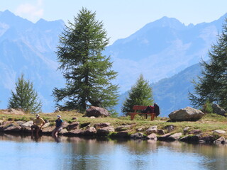 Fototapeta premium Trentino