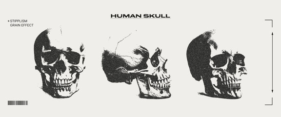 Human skull with grain effect. Trendy retro aesthetics of the 90s-2000s. Elements for the design of posters, banners, cards. © Teodora ART