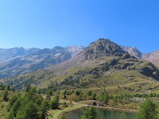 Trentino
