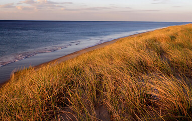 Cape Cod National Seashore at Golden Hour with Beach Grass and Ocean