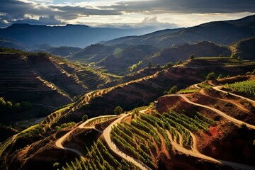 Beautiful landscape of vineyards in Priorat wine region, Tarragona, Spain. Generative AI - obrazy, fototapety, plakaty