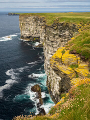 Rocky vertical cliff at Marwick Head RSPB reserve, Mainland, Orkney, Scotland