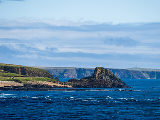 Large rock on the seashore in Orkney, Scotland with flock of white seabirds