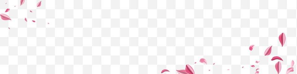 Red Petal Summer Vector Transparent Panoramic