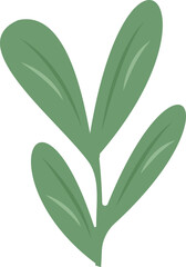 Branch With Leaves